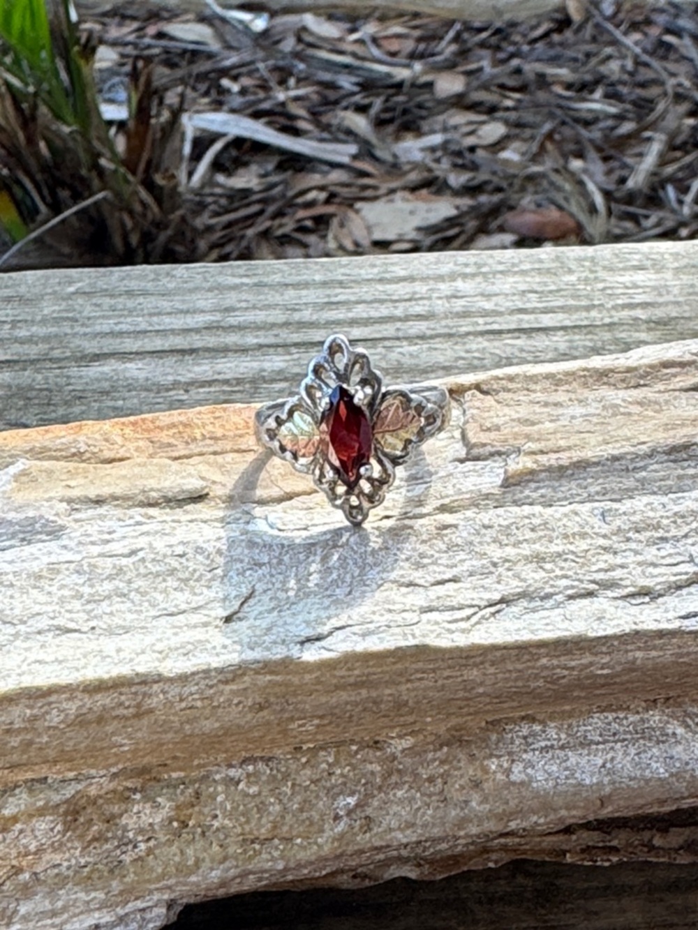 Black Hill Sterling Silver Ring with 12K Gold Accents and Garnet